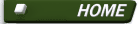 home button