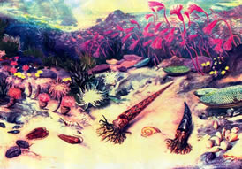 Under the Silurian Sea